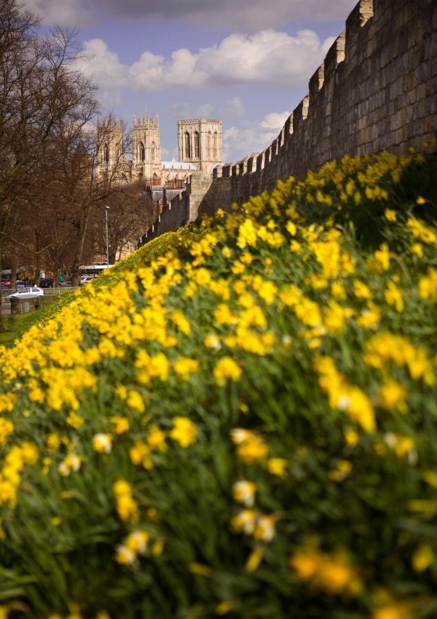 Shambles Suites In The Centre Of York, Sleeps 16 ภายนอก รูปภาพ